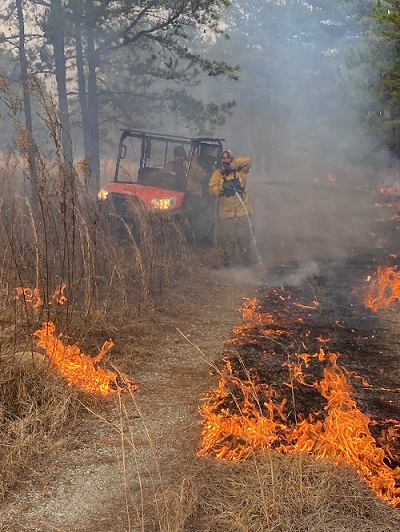 controlled burning Photo